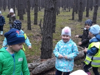 Zdjęcie: 2.10.20. WYCIECZKA
