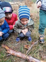 Zdjęcie: 2.10.20. WYCIECZKA