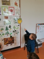 Zdjęcie: Owocowy zawrót głowy
