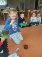 Zdjęcie: Owocowy zawrót głowy