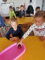 Zdjęcie: Owocowy zawrót głowy