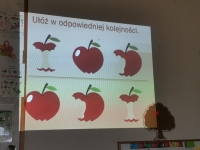 Zdjęcie: Owocowy zawrót głowy