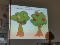 Zdjęcie: Owocowy zawrót głowy