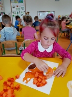 Zdjęcie: Wiewiórka