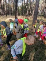Zdjęcie: Powitanie jesieni - w lesie