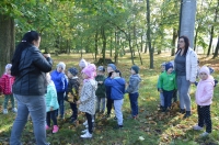 Zdjęcie: 7.10.2020.