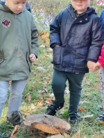 Zdjęcie: 7.10.2020.