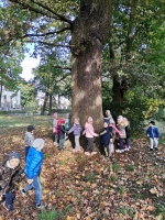 Zdjęcie: 7.10.2020.