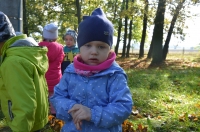Zdjęcie: Wycieczka do parku