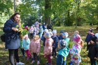 Zdjęcie: Wycieczka do parku