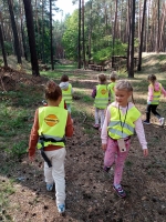 Zdjęcie: WYCIECZKA DO LASU