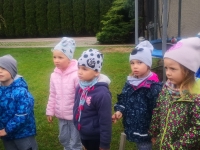 Zdjęcie: JESIEŃ W OGRODZIE