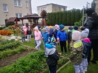 Zdjęcie: JESIEŃ W OGRODZIE
