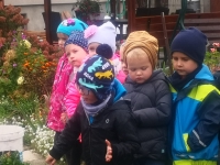 Zdjęcie: JESIEŃ W OGRODZIE