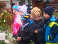 Zdjęcie: JESIEŃ W OGRODZIE