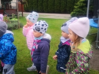 Zdjęcie: JESIEŃ W OGRODZIE