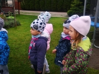 Zdjęcie: JESIEŃ W OGRODZIE