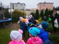 Zdjęcie: JESIEŃ W OGRODZIE