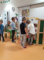 Zdjęcie: 