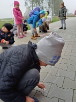 Zdjęcie: Projekt 