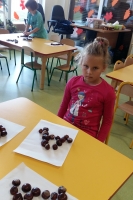 Zdjęcie: JESIEŃ W PARKU I W LESIE