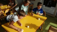 Zdjęcie: JESIEŃ W OGRODZIE I NA POLU