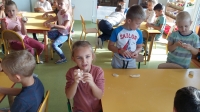 Zdjęcie: JESIEŃ W OGRODZIE I NA POLU