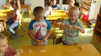 Zdjęcie: JESIEŃ W OGRODZIE I NA POLU