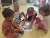 Zdjęcie: Urodziny marchewki