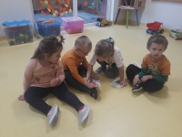Zdjęcie: Urodziny marchewki