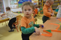 Zdjęcie: Urodziny marchewki