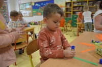 Zdjęcie: Urodziny marchewki