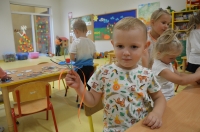 Zdjęcie: Urodziny marchewki