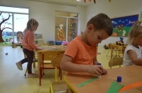 Zdjęcie: Urodziny marchewki