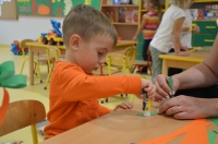 Zdjęcie: Urodziny marchewki