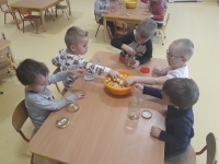 Zdjęcie: Nasze zaprawy