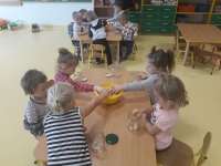 Zdjęcie: Nasze zaprawy