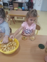 Zdjęcie: Nasze zaprawy