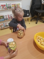 Zdjęcie: Nasze zaprawy