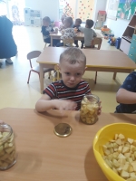 Zdjęcie: Nasze zaprawy