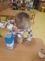 Zdjęcie: Nasze zaprawy