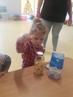 Zdjęcie: Nasze zaprawy