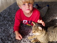 Zdjęcie: Nasi domowi ulubieńcy