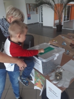 Zdjęcie: Góra Grosza