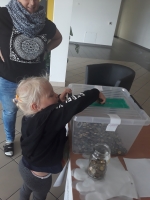 Zdjęcie: Góra Grosza