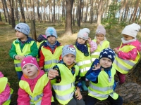 Zdjęcie: WYCIECZKA DO LASU