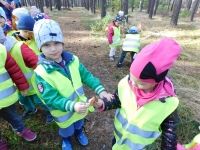 Zdjęcie: WYCIECZKA DO LASU