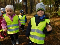 Zdjęcie: WYCIECZKA DO LASU