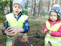 Zdjęcie: WYCIECZKA DO LASU
