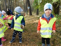 Zdjęcie: WYCIECZKA DO LASU